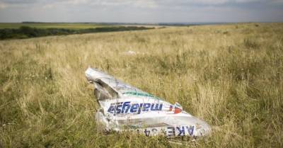 Дело MH17: Нидерланды подали иск в ЕСПЧ против России за сбитый боинг над Донбассом - delo.ua - Голландия