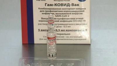 Минздрав ФРГ высказался о сертификации российского "Спутника V" - vesti.ru - Москва - Берлин