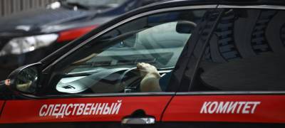 Подростка, пропавшего более трех месяцев назад в Петрозаводске, нашли мертвым в лесу - stolicaonego.ru - Петрозаводск