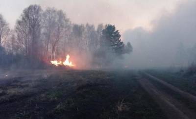 Александр Моор - Ямальские спасатели помогут Тюменской области тушить лесные пожары - news.megatyumen.ru - Тюменская обл. - окр. Янао