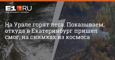 На Урале горят леса. Показываем, откуда в Екатеринбург пришел смог, на снимках из космоса - e1.ru - Екатеринбург - Свердловская обл. - Курганская обл. - Дегтярск