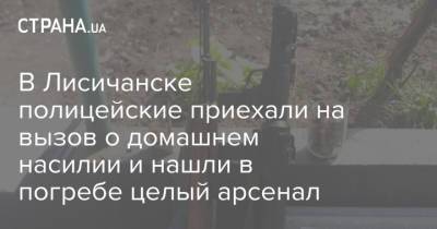 В Лисичанске полицейские приехали на вызов о домашнем насилии и нашли в погребе целый арсенал - strana.ua - Лисичанск