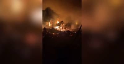 В Свердловской области при пожаре в частном приюте заживо сгорело более 30 собак и кошек - reendex.ru - Свердловская обл.