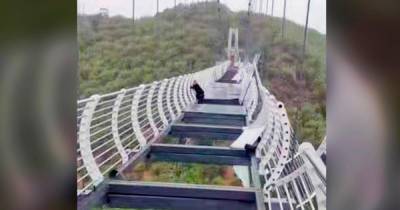 Цепляясь за жизнь: ураган разрушил стеклянный мост под ногами туриста - ren.tv - Китай