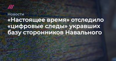 «Настоящее время» отследило «цифровые следы» укравших базу сторонников Навального - tvrain.ru - Самарская обл.