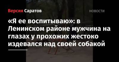 «Я ее воспитываю»: в Ленинском районе мужчина на глазах у прохожих жестоко издевался над своей собакой - nversia.ru - Саратов