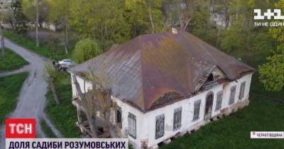Усадьба Разумовских: в Черниговской области разрушается уникальный памятник времен казачества - tsn.ua - Черниговская обл.