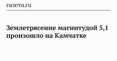 Землетрясение магнитудой 5,1 произошло на Камчатке - gazeta.ru - Япония - Фиджи
