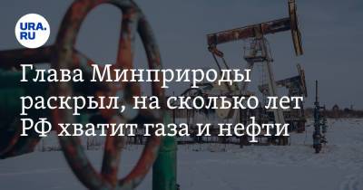 Александр Козлов - Глава Минприроды раскрыл, на сколько лет РФ хватит газа и нефти - ura.news