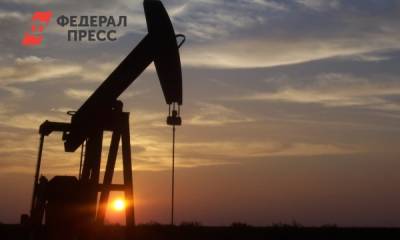 Александр Козлов - На сколько лет в России хватит нефти и газа: отвечает глава Минприроды - fedpress.ru - Москва
