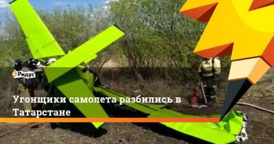 Александр Колтовой - Угонщики самолета разбились в Татарстане - ridus.ru - респ. Татарстан - Рыбинск