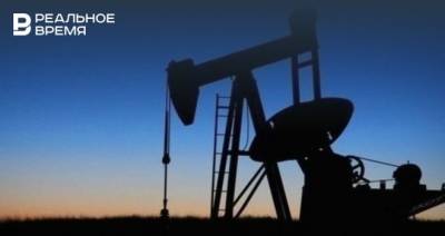 Александр Козлов - Глава Минприроды оценил обеспеченность нефтью и газом в России - realnoevremya.ru - респ. Татарстан