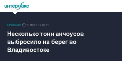 Несколько тонн анчоусов выбросило на берег во Владивостоке - interfax.ru - Москва - Владивосток