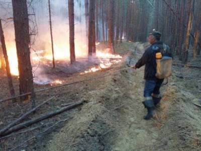 В Челябинской области в лесу рядом с нацпарком "Зигальга" произошел пожар из-за туристов - nakanune.ru - Челябинская обл.