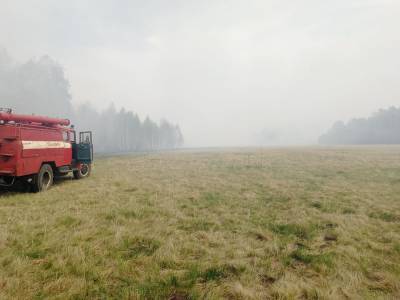 Угроза перехода огня с горящей сухой травы в Курганской области на поселение снята - kikonline.ru - Курганская обл.