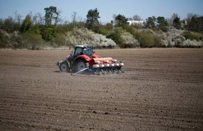 В KSG Agro рассказали, как проходит посевная - agroportal.ua - Варшава