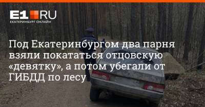 Под Екатеринбургом два парня взяли покататься отцовскую «девятку», а потом убегали от ГИБДД по лесу - e1.ru - Екатеринбург - Свердловская обл.
