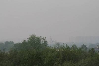 В Тюмени снова смог, площадь лесных пожаров выросла еще на 2 тыс. гектаров - znak.com - Тюмень - Тюменская обл. - с. Каменка