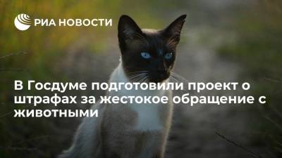 Владимир Бурматов - Павел Крашенинников - В Госдуме подготовили проект о штрафах за жестокое обращение с животными - ria.ru - Москва - Россия