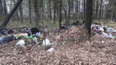 Жительницу области возмутил мусор на кладбище в Кузнецком районе - penzainform.ru