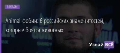 Хабиб Нурмагомедов - Animal-фобии: 6 российских знаменитостей, которые боятся животных - skuke.net - Сан-Хосе