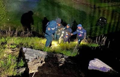Семья с двумя несовершеннолетними детьми заблудилась в лесу под Гомелем: её обнаружили сотрудники МЧС - ont.by - Гомель
