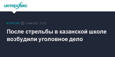 Светлана Петренко - Александр Бастрыкин - После стрельбы в казанской школе возбудили уголовное дело - interfax.ru - Москва - респ. Татарстан - Казань