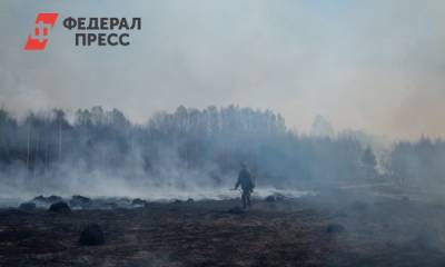 В Тюменской области отбивают от огня населенные пункты: «Люди боятся спать» - fedpress.ru - Тюменская обл. - Тобольск