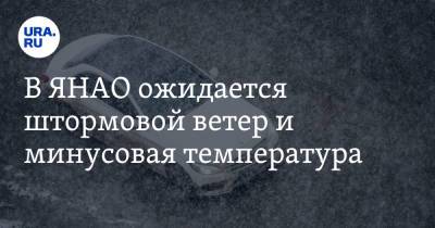 В ЯНАО ожидается штормовой ветер и минусовая температура - ura.news - окр. Янао