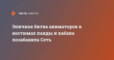 Эпичная битва аниматоров в костюмах панды и кабана позабавила Сеть - ren.tv - Китай