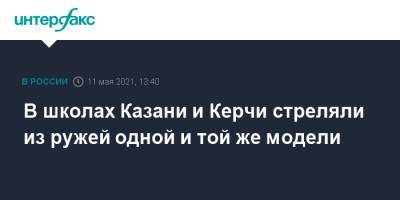 Владислав Росляков - Александр Хинштейн - В школах Казани и Керчи стреляли из ружей одной и той же модели - interfax.ru - Москва - респ. Татарстан - Казань - Керчь