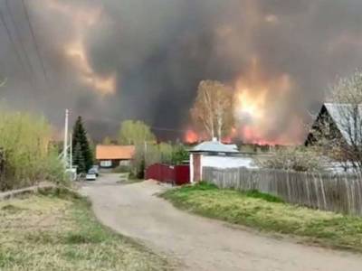 В Казахстане из-за лесного пожара 83 человека лишились жилья — видео - eadaily.com - Восточно-Казахстанская обл.
