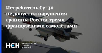 Истребитель Су-30 не допустил нарушения границы России тремя французскими самолётами - nsn.fm - Россия - Черное Море