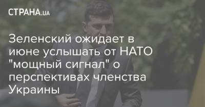 Владимир Зеленский - Анджей Дудой - Энтони Блинкен - Зеленский ожидает в июне услышать от НАТО "мощный сигнал" о перспективах членства Украины - strana.ua