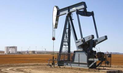 Александр Козлов - Оставшихся запасов нефти России хватит на 59 лет, а газа – на 103 года - og.ru - Экология