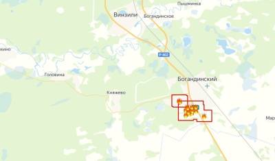 Федеральную трассу Р-402 в 28 км от Тюмени заволокло дымом - nashgorod.ru - Тюмень - Тюменская обл.
