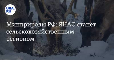Александр Козлов - Минприроды РФ: ЯНАО станет сельскохозяйственным регионом - ura.news - окр. Янао - Экология