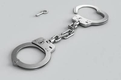 Руководителю муниципального отдела Росреестра в Подмосковье предъявлено обвинение в коррупции - versia.ru - Московская обл.