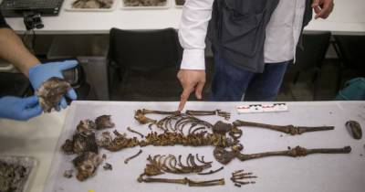 В королевском дворце в Севилье нашли скелет 5-летней девочки, умершей 700 лет назад - focus.ua - Испания - Дворец