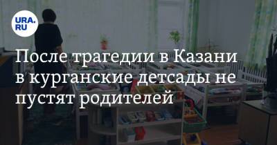 Андрей Потапов - Елена Ситникова - После трагедии в Казани в курганские детсады не пустят родителей - ura.news - Казань - Курган