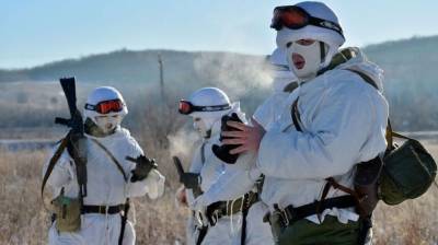 Мотострелки ЗВО отразили нападение условного противника на учениях в Ленобласти - inforeactor.ru - Ленинградская обл. - Япония
