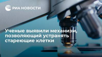 Ученые выявили механизм, позволяющий устранять стареющие клетки - ria.ru - Москва - США - Сан-Франциско