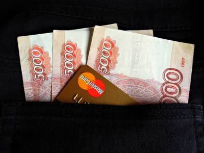 Александр Козлов - РБК: Деньги от штрафа «Норникелю» могут пойти на зарплаты в Росприроднадзоре - rosbalt.ru - Красноярск - Норильск