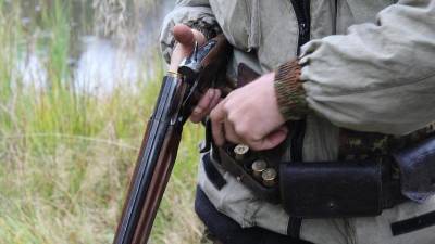 В Волосовском районе двум мужчинам грозит уголовная ответственность за убийство лося - ivbg.ru - Ленинградская обл.