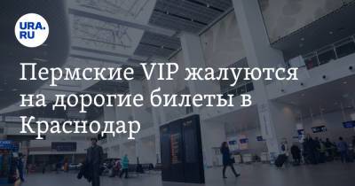 Пермские VIP жалуются на дорогие билеты в Краснодар - ura.news - Краснодар - Пермь