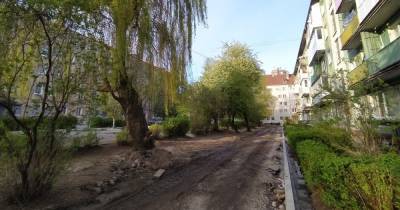В Калининграде зелёный двор решили закатать в асфальт, жители встали на защиту деревьев - klops.ru - Калининград