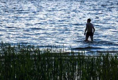 Эксперты рассказали, когда жители Петербурга смогут купаться в водоемах - online47.ru - Петербурга