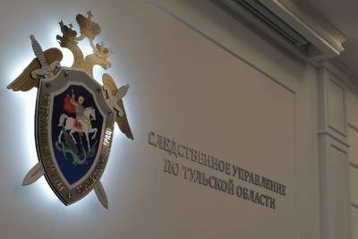 В Туле осужден насильник, из-за которого забеременела 13-летняя девочка - tula.mk.ru - Тула - район Ленинский - Тульская обл.