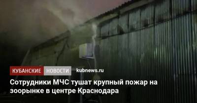 Сотрудники МЧС тушат крупный пожар на зоорынке в центре Краснодара - kubnews.ru - Краснодарский край - Краснодар