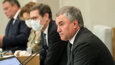 Владимир Путин - Вячеслав Володин - Володин выступил против анонимности в интернете после стрельбы в Казани - nation-news.ru - Казань